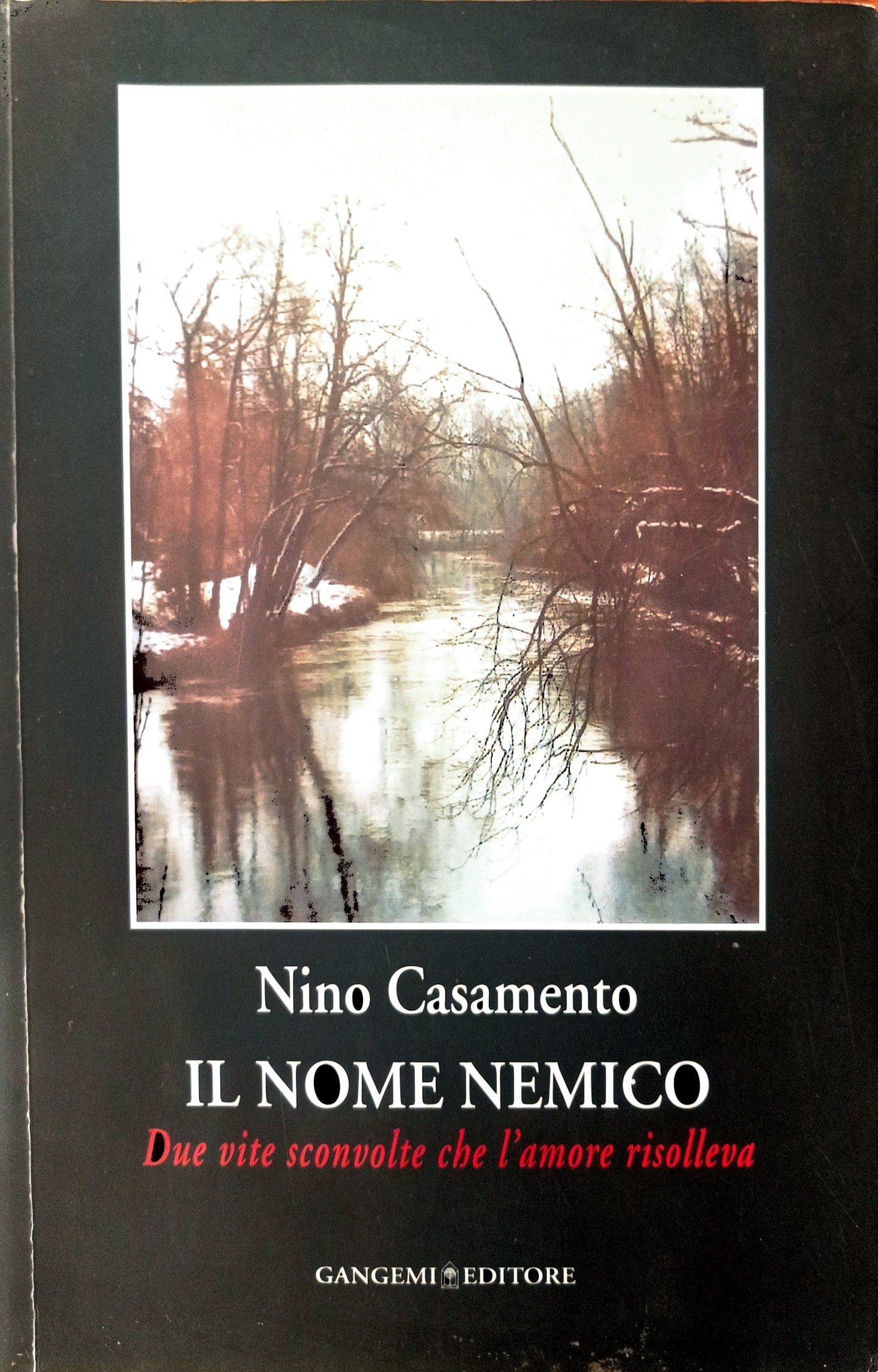 Il nome nemico - Nino Casamento