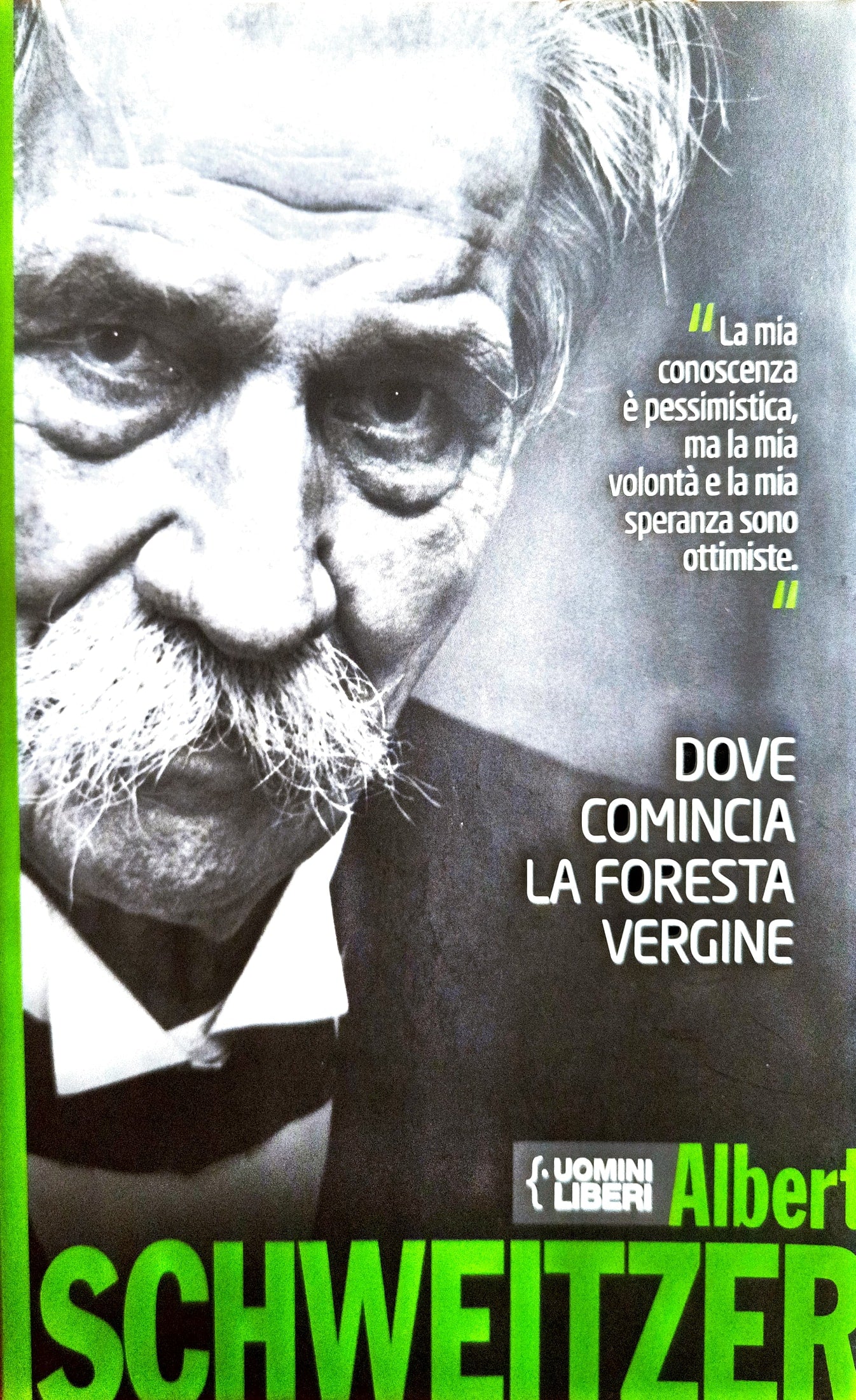 Dove Comincia La Foresta Vergine