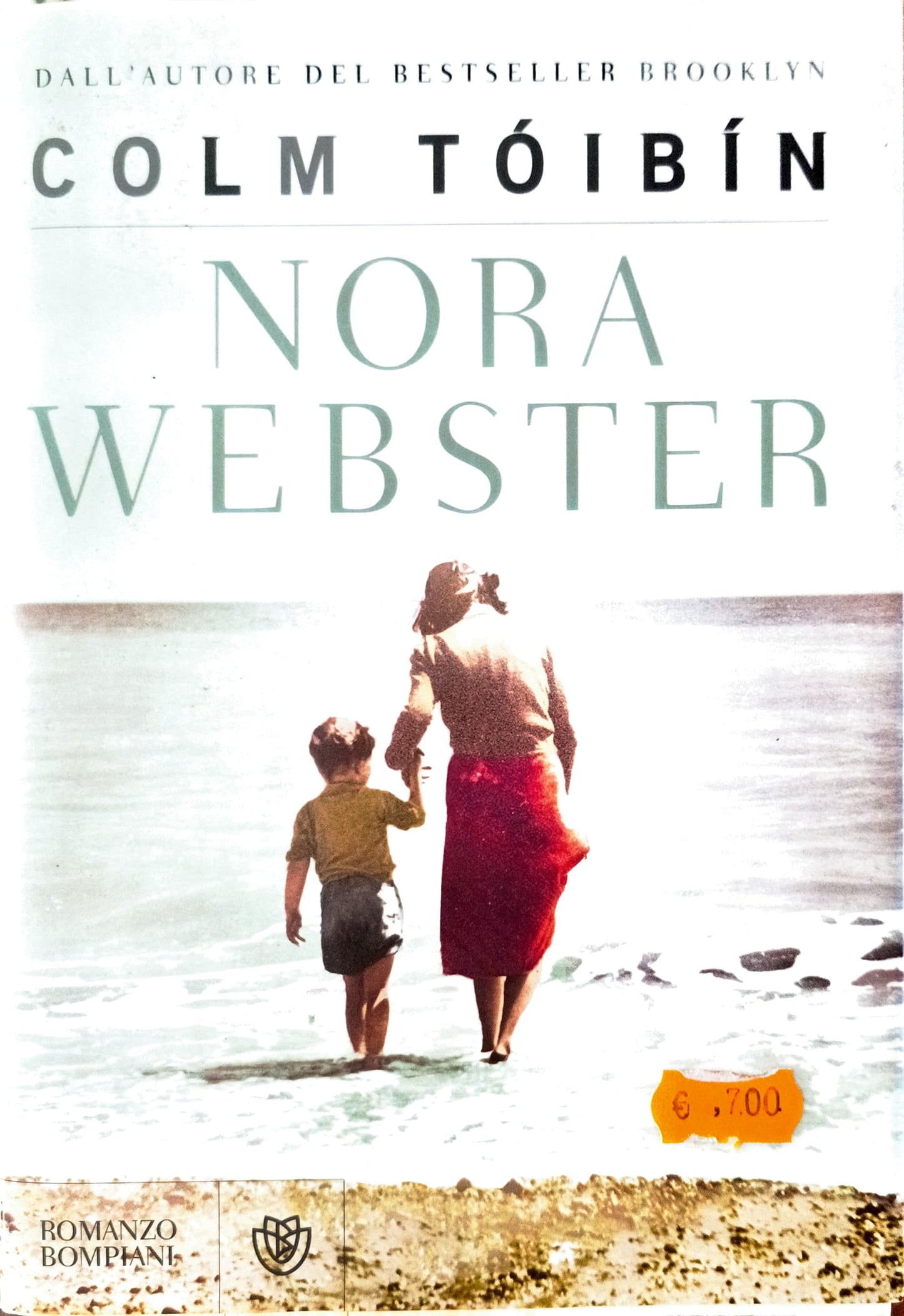 Nora Webster - Colm Tóibín