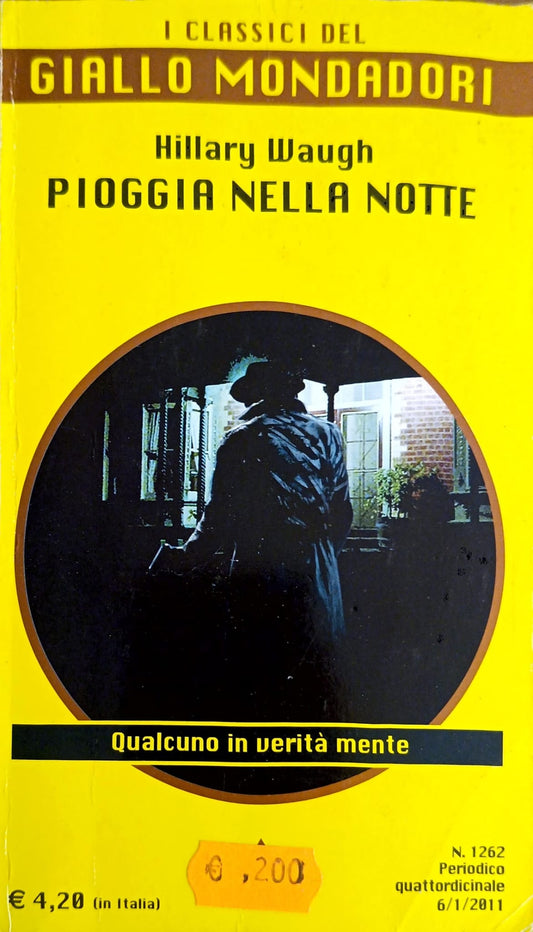 pioggia nella notte